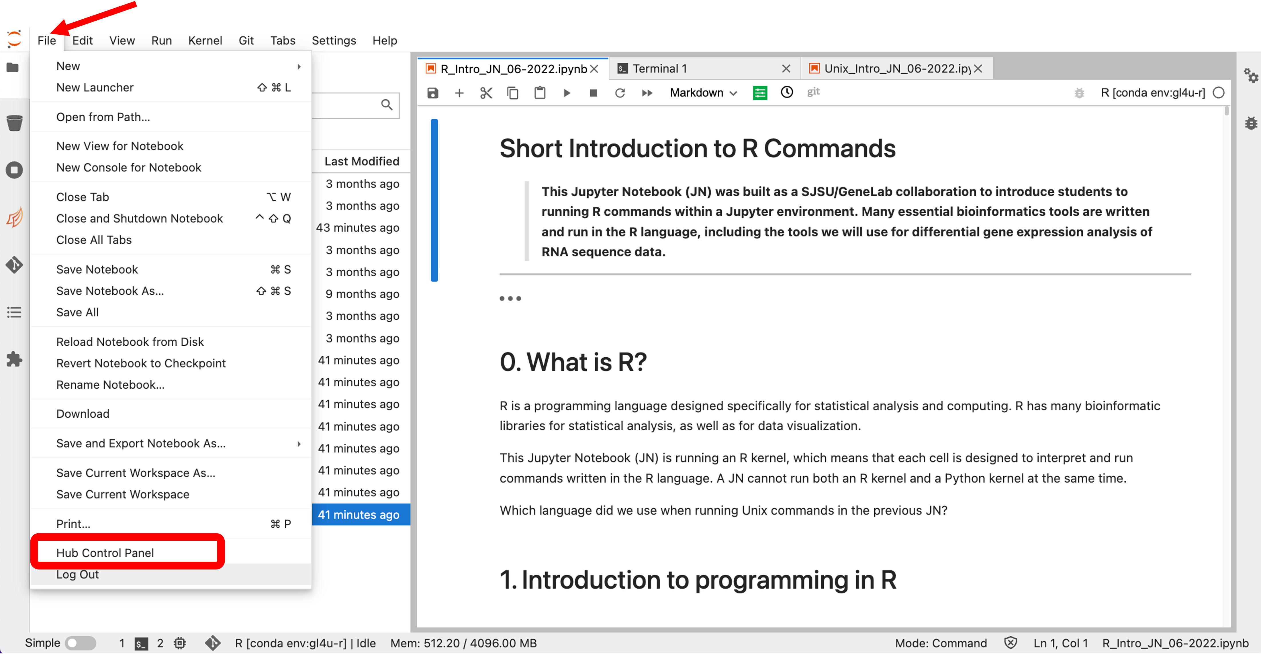 Instructions For Setting Up the Bootcamp On the NASA NCCS SMCE System ...